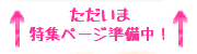 ただいま特集ページ準備中！